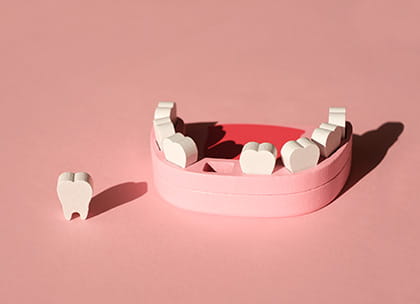 Wooden model of mouth with a tooth extracted